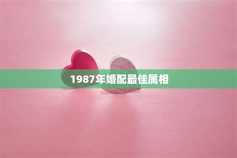 1987年属相